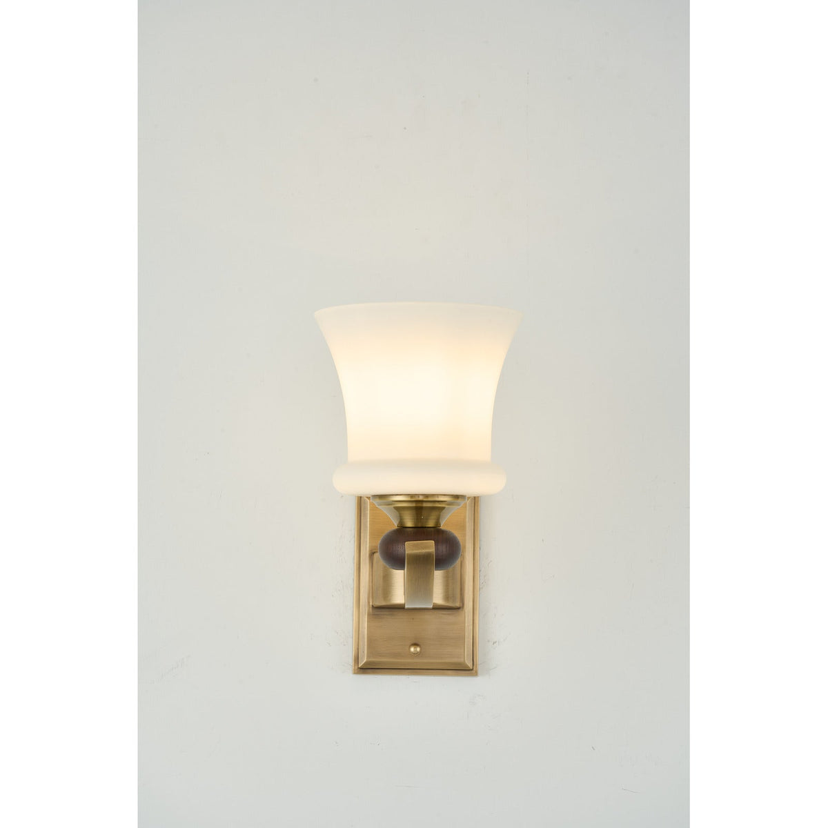 W&F Collection | Brontelle Opal Glass Wall Sconce