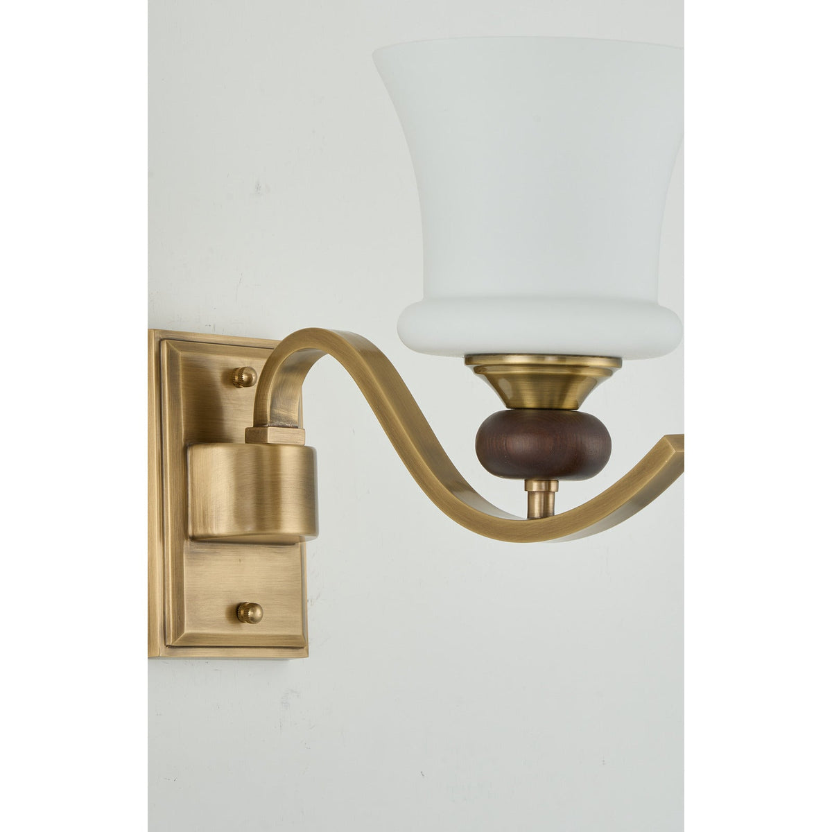 W&F Collection | Brontelle Opal Glass Wall Sconce