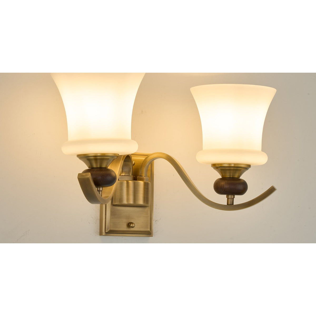 W&F Collection | Brontelle Opal Glass Wall Sconce