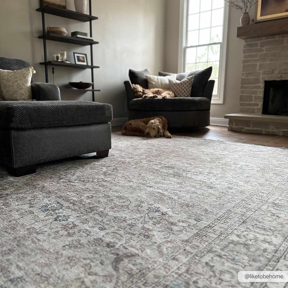 W&F Collection | Cream Holi-2301 Washable Area Rug