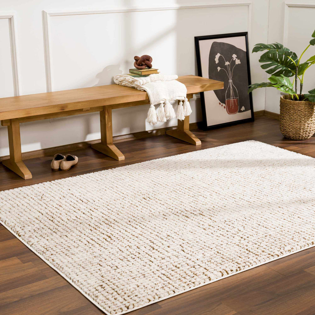W&F Collection | Keita Cream & Brown Area Rug
