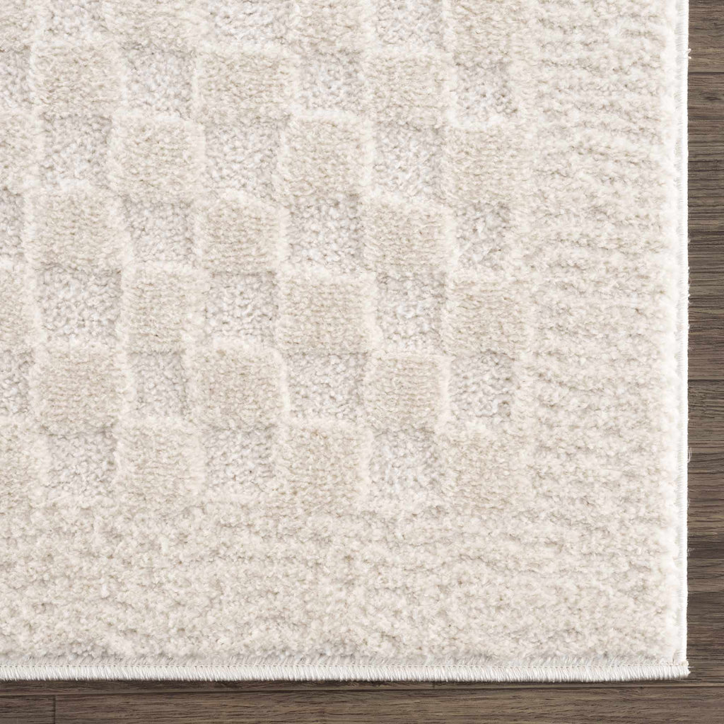 W&F Collection | Leryn Ivory Checkered Area Rug