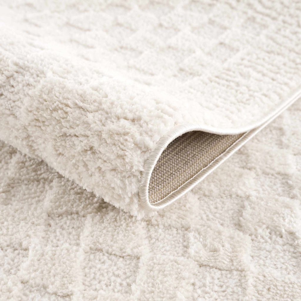W&F Collection | Leryn Ivory Checkered Area Rug