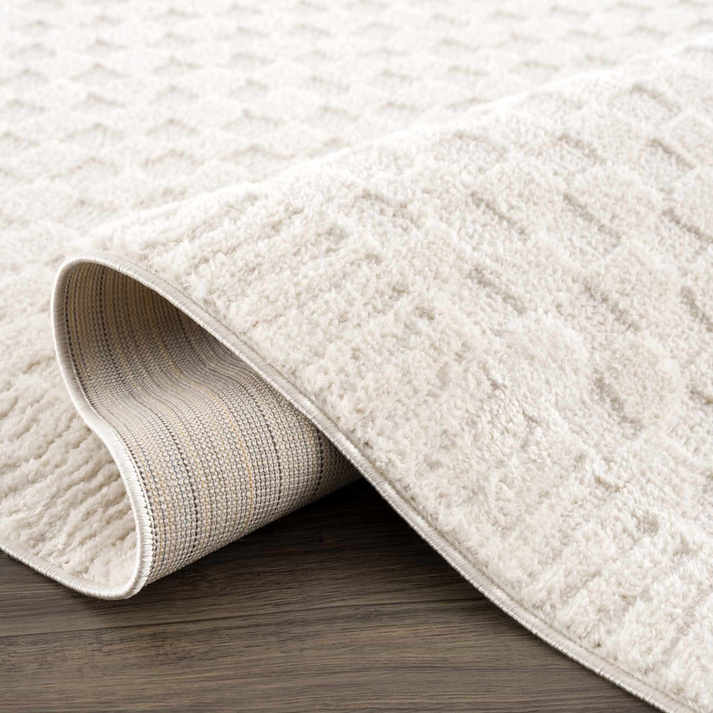 W&F Collection | Leryn Ivory Checkered Area Rug