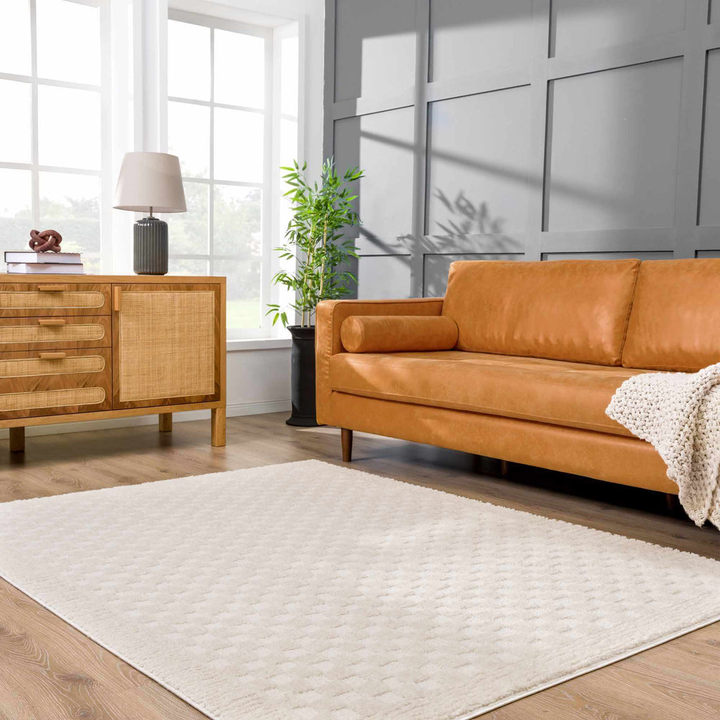 W&F Collection | Leryn Ivory Checkered Area Rug