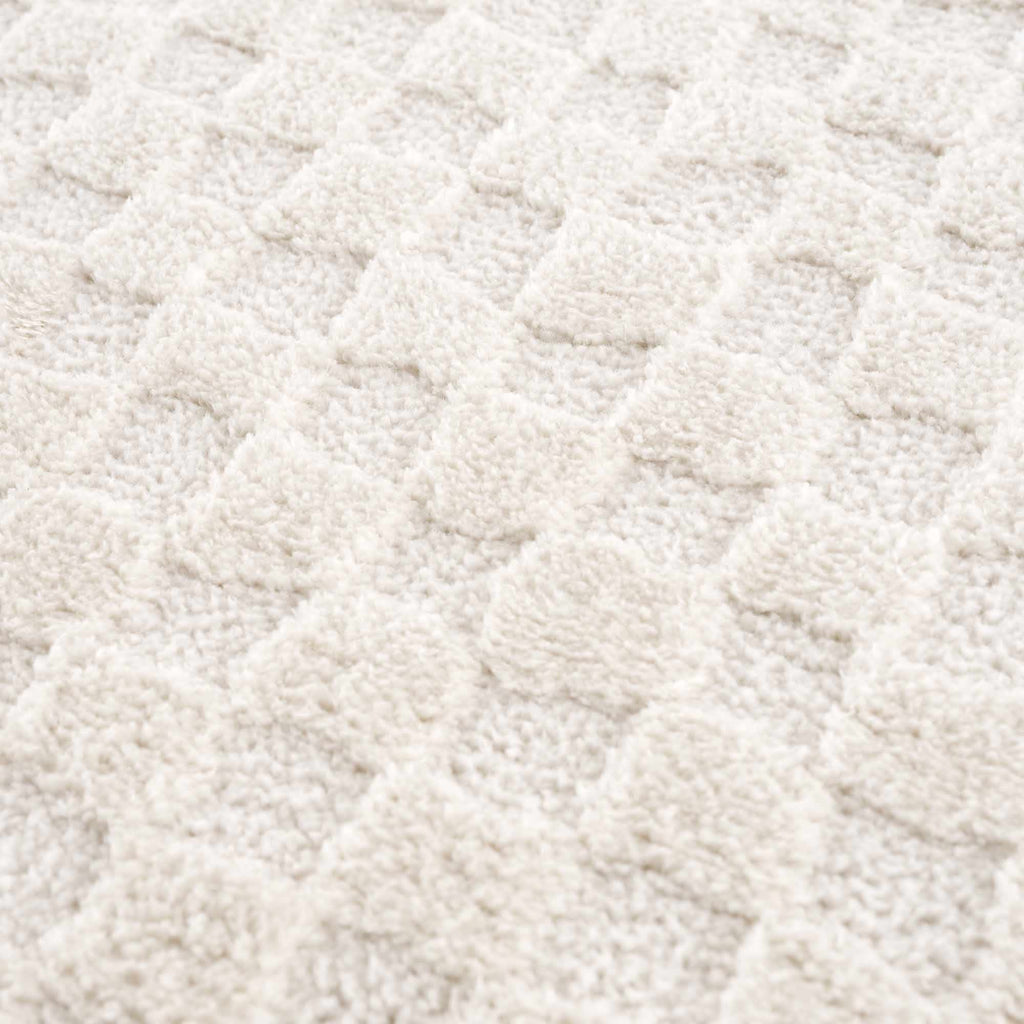 W&F Collection | Leryn Ivory Checkered Area Rug