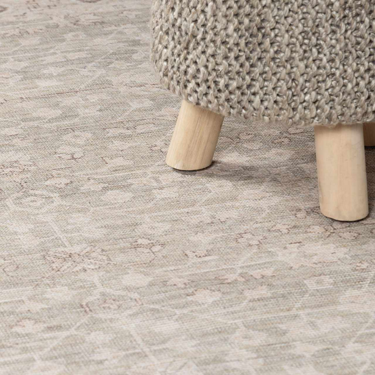 W&F Collection | Asha Machine Woven Area Rug
