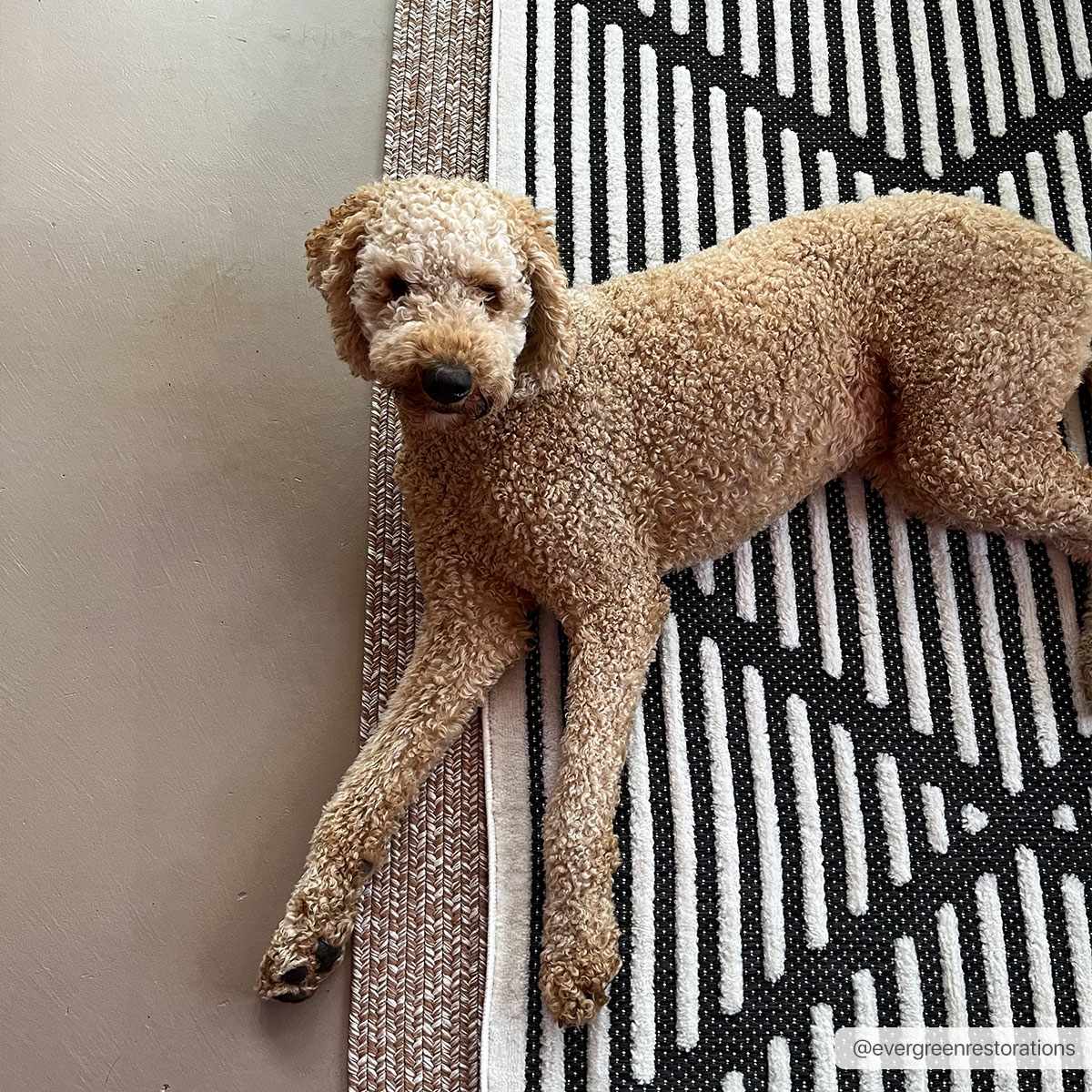 W&F Collection | Anah 3D Black Outdoor Rug