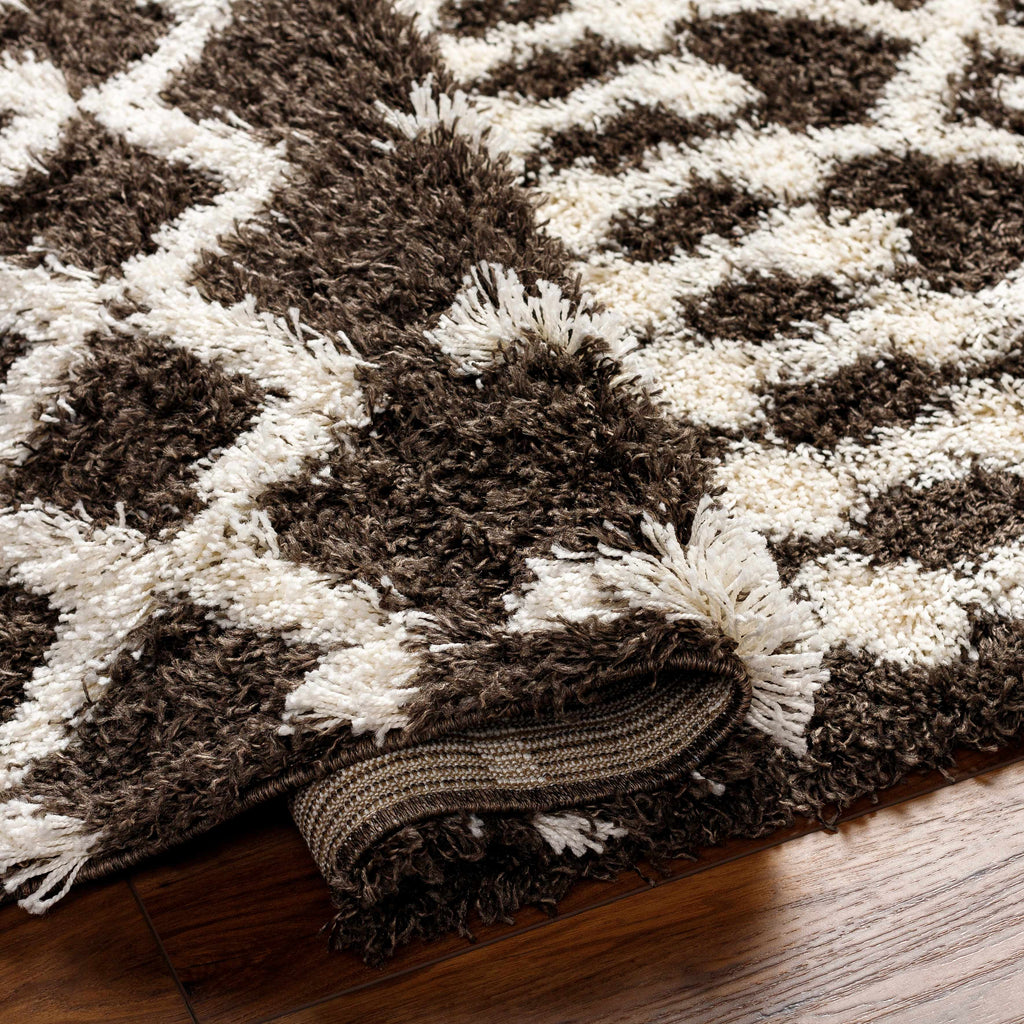 W&F Collection | Aysel Shag Area Rug