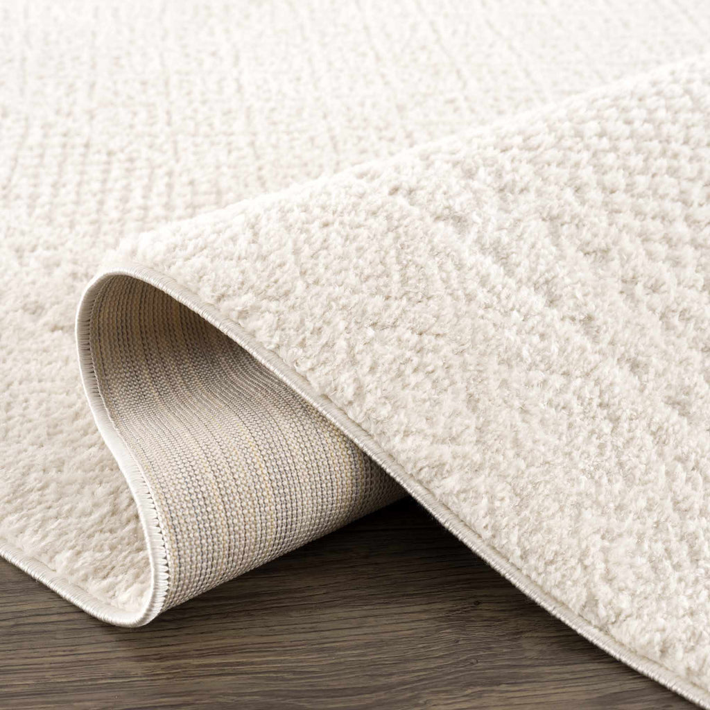 W&F Collection | Julio Ivory Area Rug