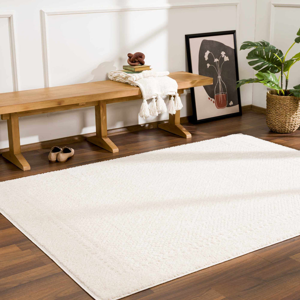 W&F Collection | Julio Ivory Area Rug