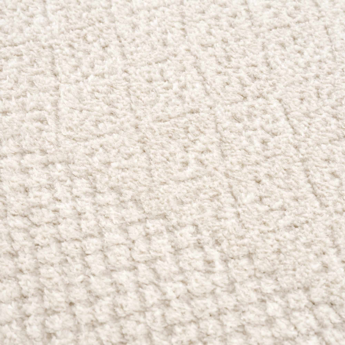 W&F Collection | Julio Ivory Area Rug