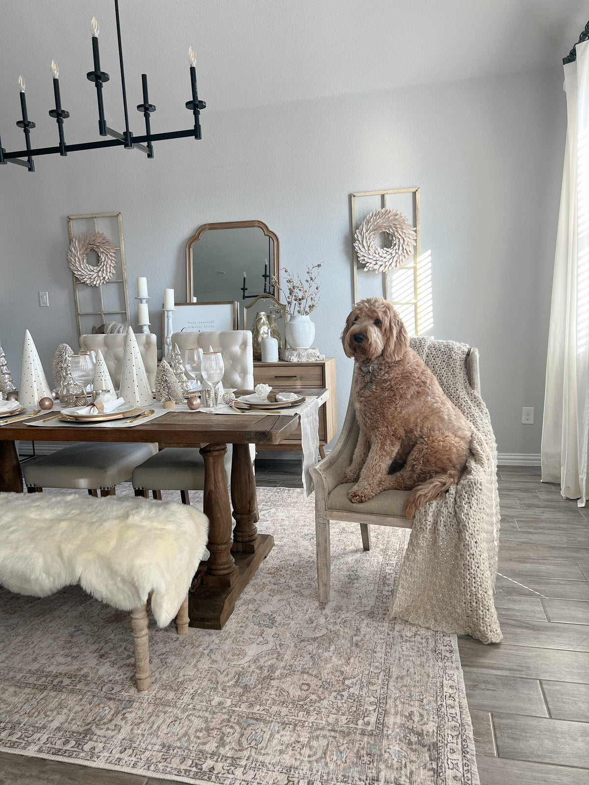 W&F Collection | Cream Holi-2301 Washable Area Rug