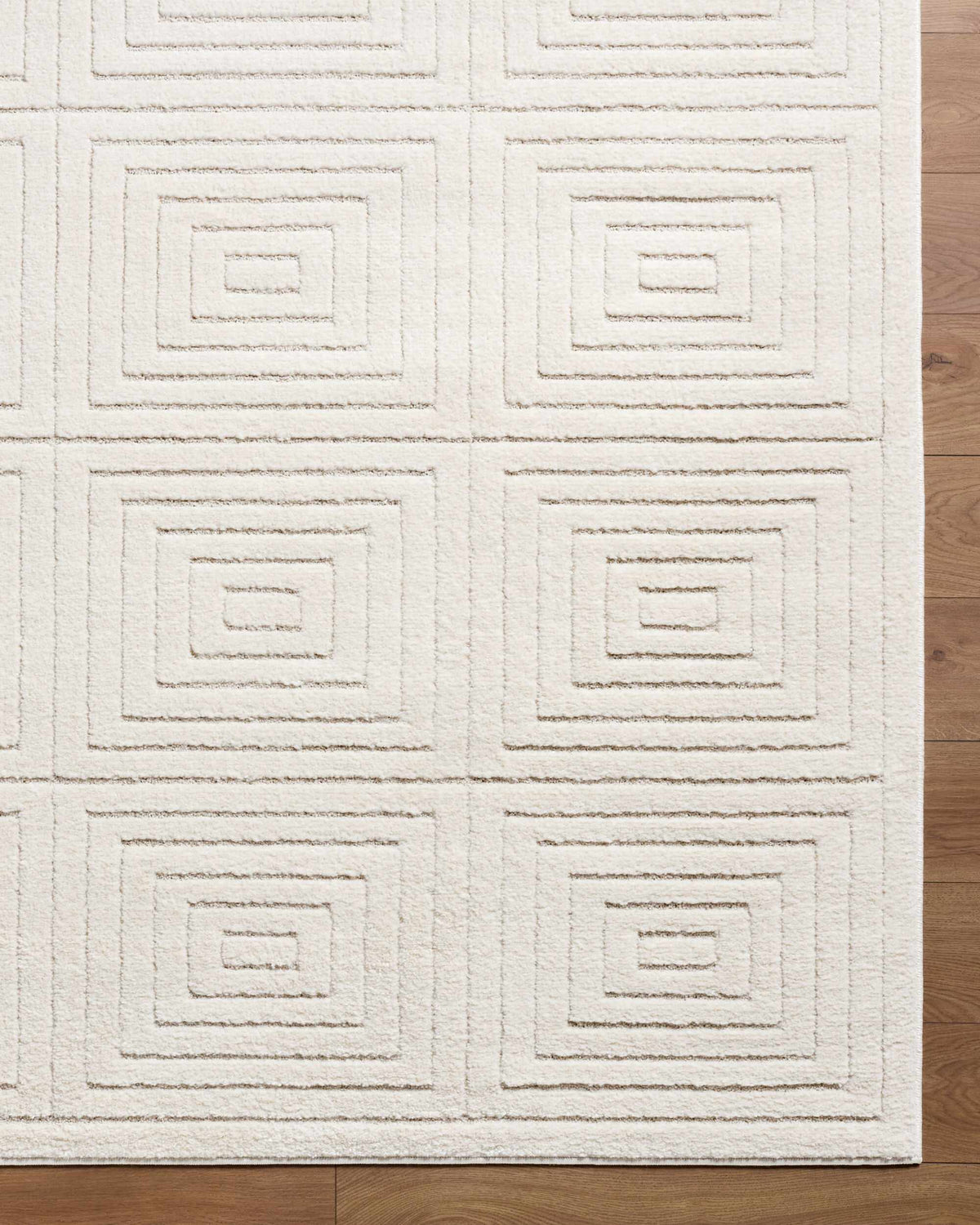 W&F Collection | The Studio Edit Machine Woven Area Rug